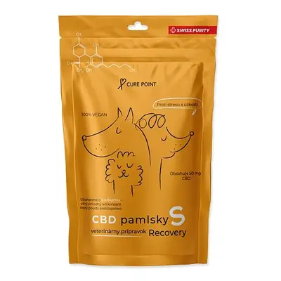 Pochoutka CBD Recovery S 100g