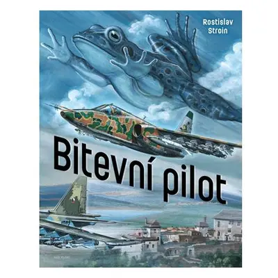 Bitevní pilot