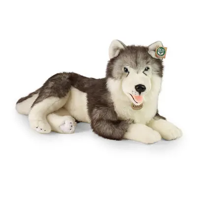 Rappa Plyšový pes husky ležící 60 cm ECO-FRIENDLY