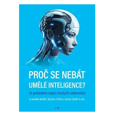 Proč se nebát umělé inteligence?