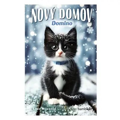 Nový domov – Domino