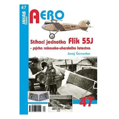 Stíhací jednotka Flik 55J - Pýcha rakousko-uherského letectva