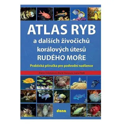 Atlas ryb a dalších živočichů korálových útesů Rudého moře - Praktická příručka pro vodní nadšen