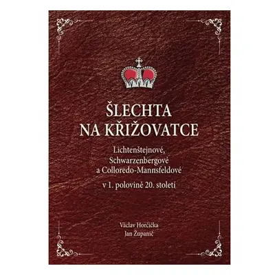 Šlechta na křižovatce - Lichtenštejnové, Schwarzenbergové a Colloredo-Mannsfeldové v 1. polovině