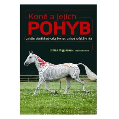 Koně a jejich pohyb