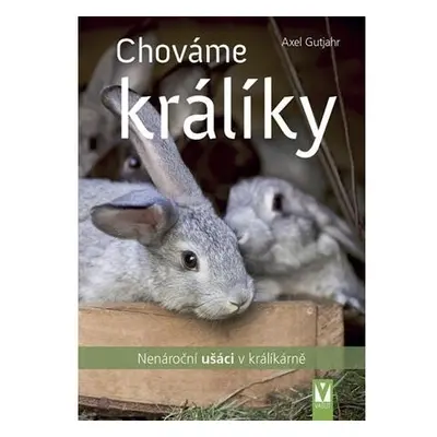 Chováme králíky - Nenároční ušáci v králíkárně