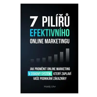 7 pilířů efektivního marketingu - Jak proměnit online marketing v ziskový systém, který zaplaví 