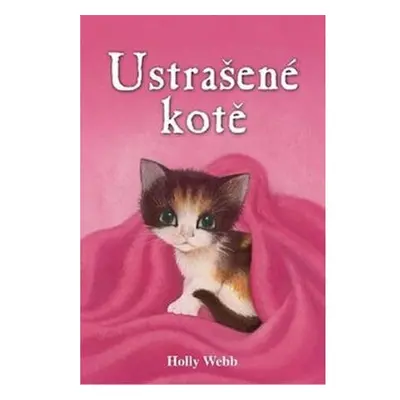 Ustrašené kotě