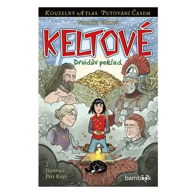 Keltové - Druidův poklad