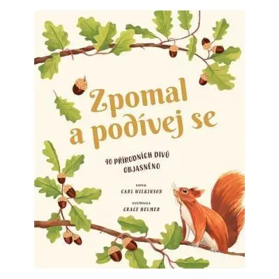 Zpomal a podívej se