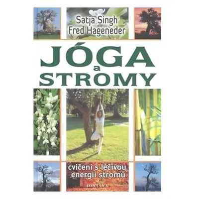 Jóga a stromy - Cvičení s léčivou energií stromů