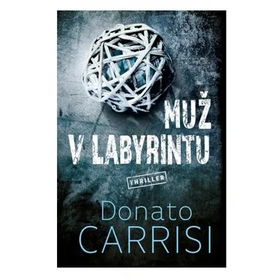 Muž v labyrintu