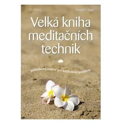 Velká kniha meditačních technik - Jednoduchá cvičení pro každodenní problémy