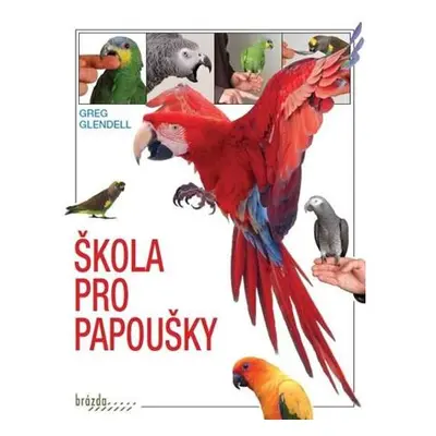 Škola pro papoušky