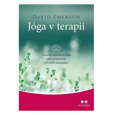 Jóga v terapii - Trauma-sensitivní jóga jako pomocník při léčbě traumatu