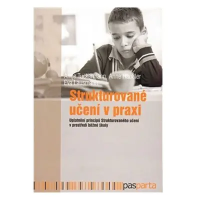 Strukturované učení v praxi - Uplatnění principů Strukturovaného učení v prostředí běžné školy