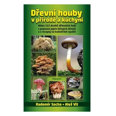 Dřevní houby v přírodě a kuchyni