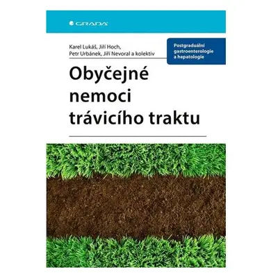 Obyčejné nemoci trávicího traktu