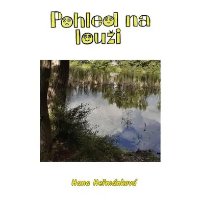 Pohled na louži