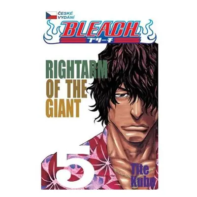 Bleach 5: Right Arm of the Giant