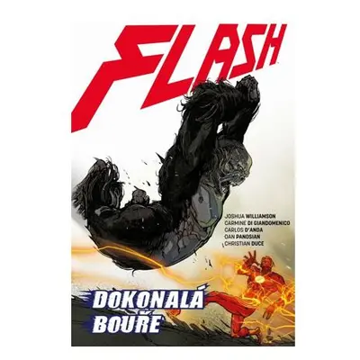 Flash 7 - Dokonalá bouře