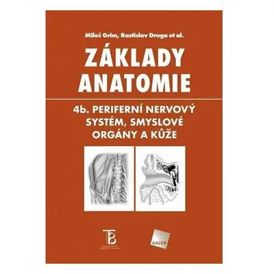 Základy anatomie 4b - Periferní nervový systém, smyslové orgány a kůže