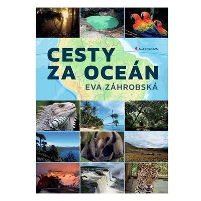 Cesty za oceán