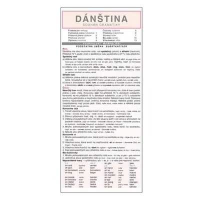 DÁNŠTINA souhrn gramatiky