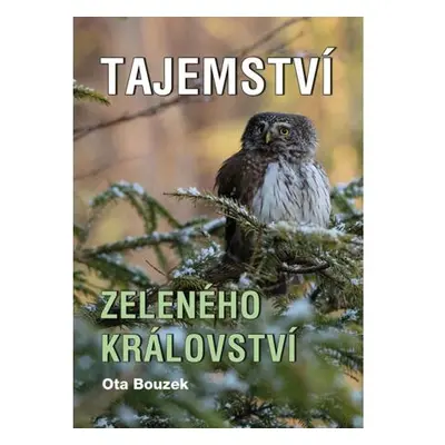 Tajemství zeleného království