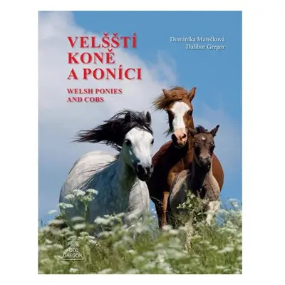 Velšští koně a poníci / Welsh Ponies and Cobs