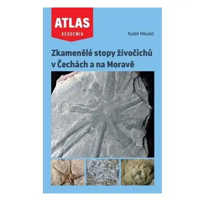 Zkamenělé stopy živočichů v Čechách a na Moravě