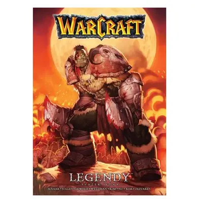 Warcraft - Legendy 1