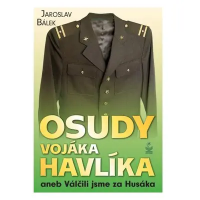 Osudy vojáka Havlíka aneb Válčili jsme za Husáka