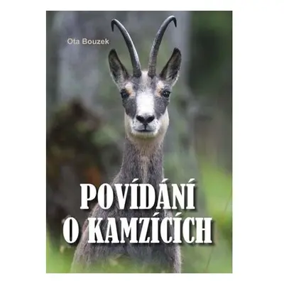 Povídání o kamzících