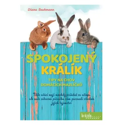 Spokojený králík- Tipy na chov domácích mazlíčků