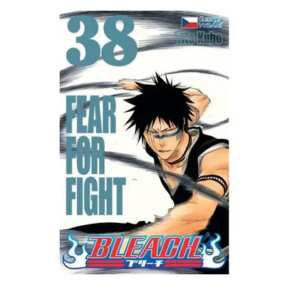 Bleach 38: Fear For Fight