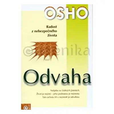 Odvaha - Radost z nebezpečného života