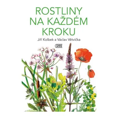 Rostliny na každém kroku