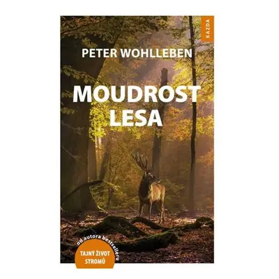 Moudrost lesa