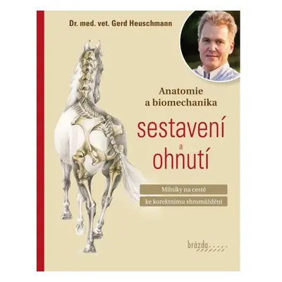 Anatomie a biomechanika sestavení a ohnutí - Milníky na cestě ke korektnímu shromáždění