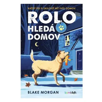 Rolo hledá domov