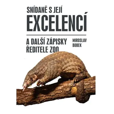 Snídaně s její excelencí