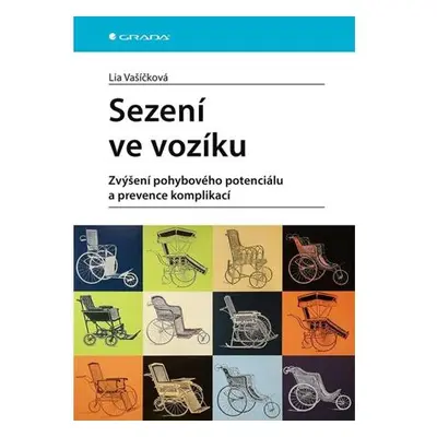 Sezení ve vozíku - Zvýšení pohybového potenciálu a prevence komplikací