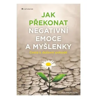 Jak překonat negativní emoce a myšlenky - Cesta k duševní pohodě