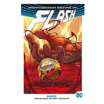 Flash 5 - Negativ