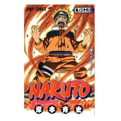 Naruto 26 - Odloučení