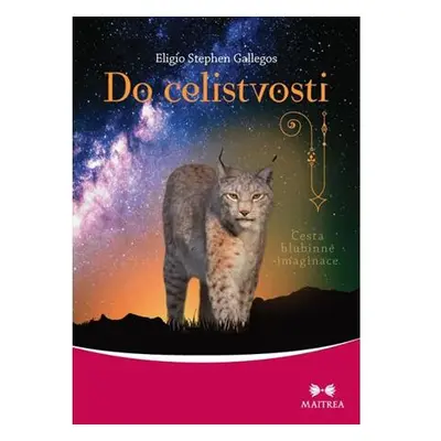 Do celistvosti - Cesta hlubinné imaginace