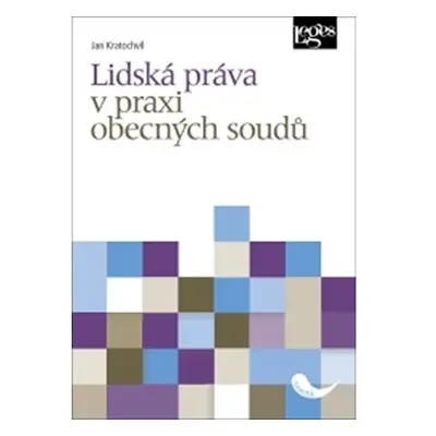 Lidská práva v praxi obecných soudů