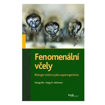 Fenomenální včely - Biologie včelstva jako superorganizmu