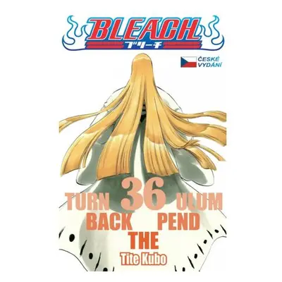 Bleach 36: Turn Back The Pendulum